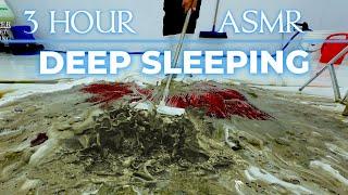 3 HOUR Relaxing Carpet Cleaning - Relaxation - Stress Relief - ASMR Sleep - Master Carpet Cleaning