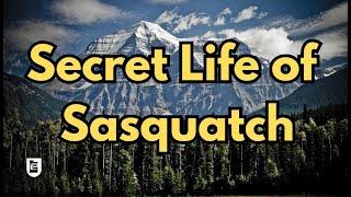 Secret Life of Sasquatch from a Native Bushman