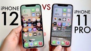 iPhone 12 Vs iPhone 11 Pro In 2023! (Comparison) (Review)