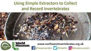 Using Simple Extractors to Collect and Record Invertebrates