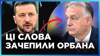 ПОДИВІТЬСЯ на РЕАКЦІЮ Орбана! Слова Зеленського ЗАЧЕПИЛИ всіх в Угорщині. Промова на саміті