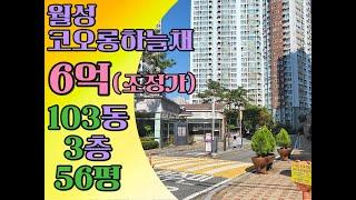 코오롱하늘채56평 대형평수 급매