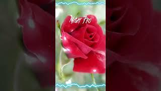 кто лучше
