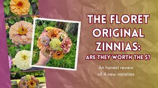 The Floret Original Zinnias: Are they worth the $? An honest review of 4 new varieties