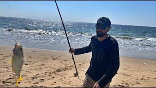 A 2 Z Fishing Tips Tricks || Blue Hut Himaliya Point ||