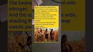 The Genius Native American Farming Trick That Changed Everything! 