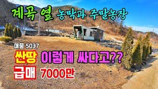 (싼땅 7000만원)계곡 옆 주말 농장과 농막 저렴한 급매물 계곡물 소리 들으며 전원생활 하기 좋은 곳 전원주택 가능  공주부동산 토지 매매 체류형쉼터//행운집 행운땅부동산TV