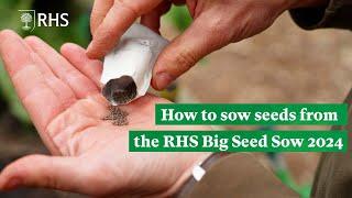 How to sow seeds from the Big Seed Sow 2024 | The RHS