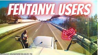 More Braindead Drivers - Driving Fails & Lessons Learned! #1342