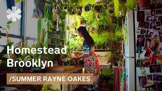 Homestead Brooklyn: model creates urban forest in her NYC flat