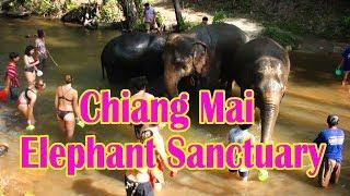 Chiang Mai Elephant Sanctuary - Half Day Tour, Thailand