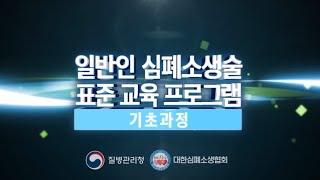  일반인 심폐소생술 표준 교육 프로그램(기초과정)