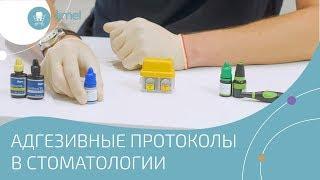 Адгезивные системы в стоматологии. Протоколы. Виды. Отличия. Составы. Bauers Dental Store