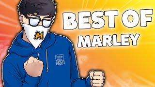 Marley's BEST OF 2020 (so far) - Rainbow Six Siege