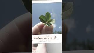 AUDIO DE GERARDO SABADO 3 DE JUNIO