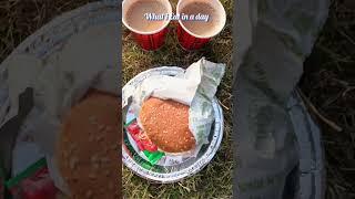 #day2 What I Eat In A Day #foodie #whatieatinaday #shorts #viralvideo #deshbhagatuniversity #food