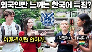 한글날 특집최근 한국어 배우는 외국인들이 격하게 공감하는 것 (서울대 어학당)