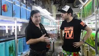 Acuariotv en el Criadero jack watley discus , Miami, Usa.  parte 1de2