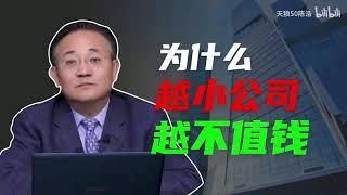 陈浩 ：为什么越小公司越不值钱