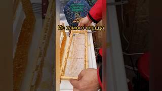 Сотовый мёд - в каждый дом! #жизньвдеревне #пасека #сотовыймёд #пчеловоды #пасека #пчеловодствоснуля