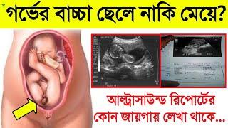 আল্ট্রাসনোগ্রাম রিপোর্ট দেখে কিভাবে বুঝবেন গর্ভের বাচ্চা ছেলে না মেয়ে? || আল্ট্রাসনোগ্রাফি রিপোর্ট