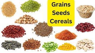 Grains Vocabulary| Pulses and Grains names in English| Seeds & Cereals Name In English With Pictures