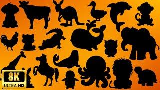 Guess the Shadow of the Animals! | Fun Shadow Quiz Game for Kids | Learn Animal Names
