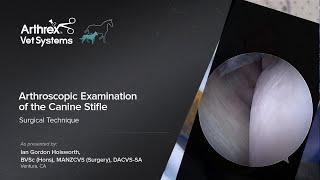 Arthroscopic Examination of the Canine Stifle