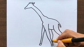 How to Draw a Giraffe