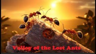 New cartoon movie in 2024 I Valley of the Lost Ants I Animated Movie Hindi |New Dubbed Cartoon Movie