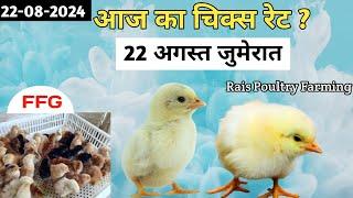 Today Broiler & Ffg Chicks Rate | 22/08/2024 | आज के चूज़े का रेट? New Chicks Rate Update 22 August