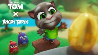 Talking Tom X Angry Birds: Now You See.. Egg