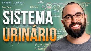 Sistema Excretor (URINÁRIO) - Aula 30 - Módulo 7: Fisiologia Humana