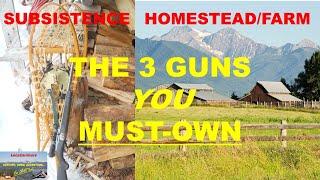 The 3 Subsistence/Homestead/Farm GUNS You MUST OWN