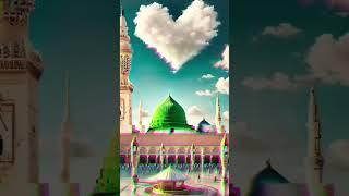 SUBSCRIBE PLZ Noor Wala Aya Ha - Farhan Ali Qadri #islam #freepalestine #shorts #shortvideo #viral