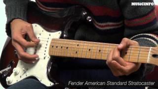 Fender Standard Mexico Stratocaster clean1