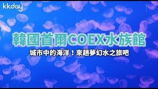 【韓國旅遊攻略】首爾COEX水族館！進入美麗的海洋世界｜KKday