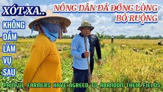 XÓT XA NÔNG DÂN ĐÃ ĐỒNG LÒNG BỎ RUỘNG KHÔNG DÁM LÀM| FARMERS ABANDON THE FIELD| Giải Trí  Miền Tây