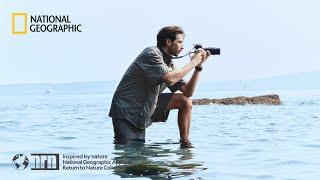 [National Geographic Apparel] 25 NRN(Return to Nature) SUMMER COLLECTION