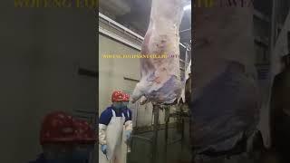 Cattle Production Line Peeling Machine For Slaughterhouse Equipment By WFA Factory Manufacture