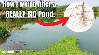 This is how I would filter a REALLY BIG POND!