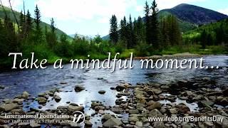 Take a Mindful Moment