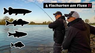 4 Angler 4 Fischarten | Uferangeln am Fluss