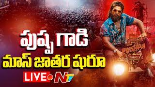 Fans Celebrations LIVE : Pushpa 2 Premiere Show Review | Ntv