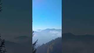 Carpathians - Mountain Music Video