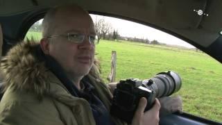 Wildlife-Fotografie unterwegs - Blende 8 - Folge 62