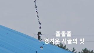 노모와 함께 물멍 힐링. 엄마 사랑해용..