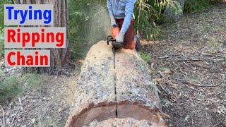 Chainsaw Ripping Chain vs Square Ground Chain