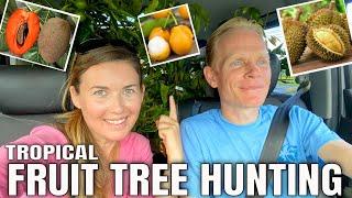 TROPICAL FRUIT TREE HUNTING. EXOTIC FRUIT TASTING. COUNTRY LIVING HAWAII