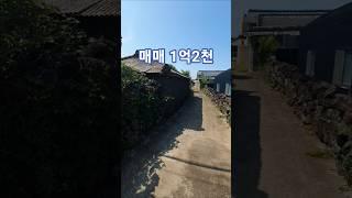 제주도 시골집 매매 1.2억